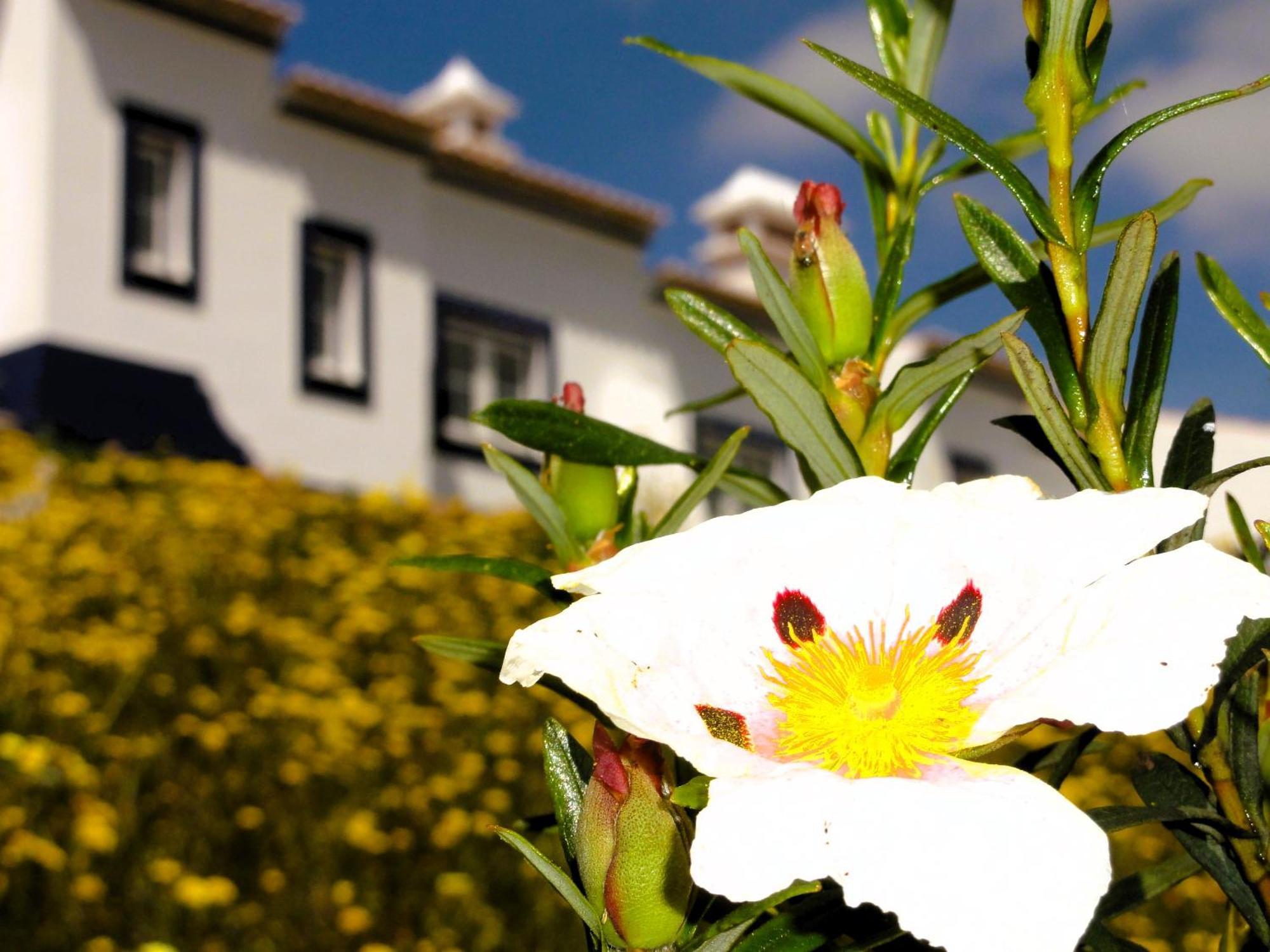 Monte Do Alento - Castro Da Cola Guest House Alcaria  Bagian luar foto