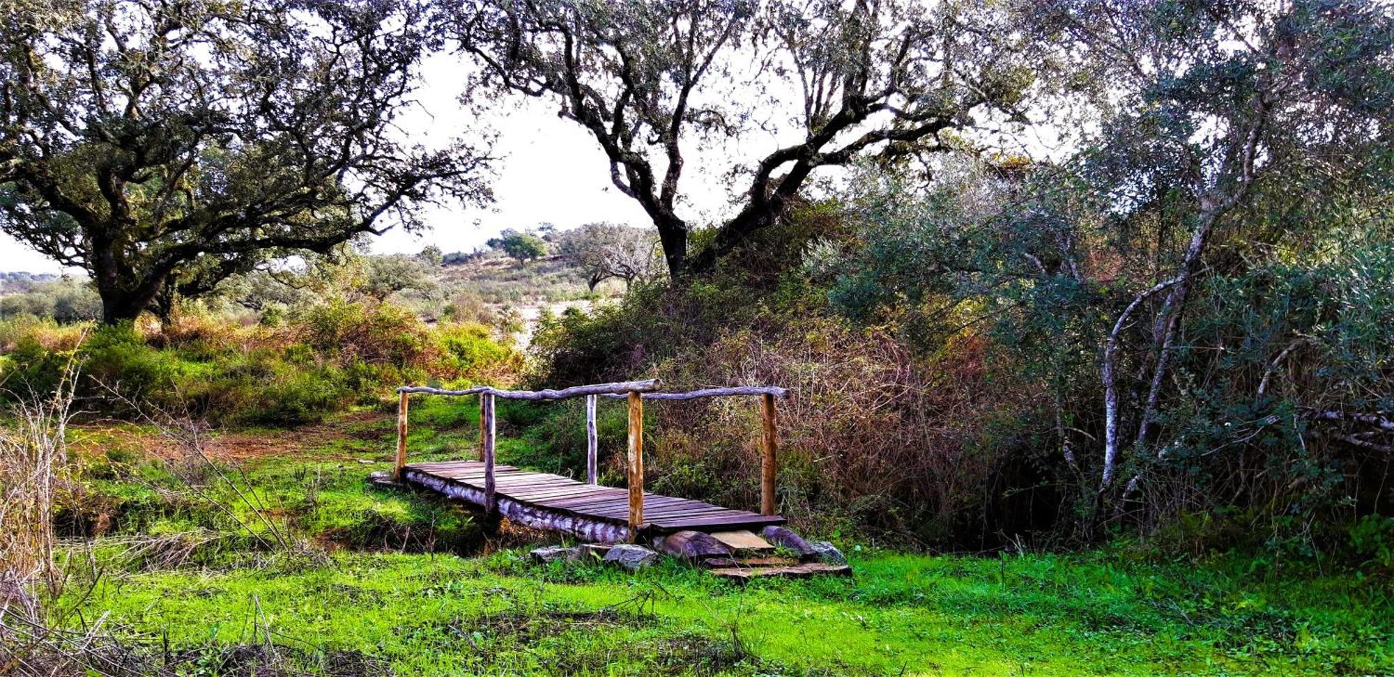 Monte Do Alento - Castro Da Cola Guest House Alcaria  Bagian luar foto